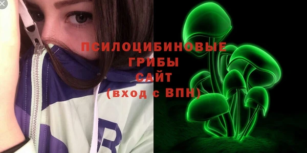 PSILOCYBIN Алзамай