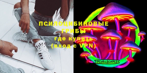 PSILOCYBIN Алзамай