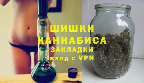 PSILOCYBIN Алзамай