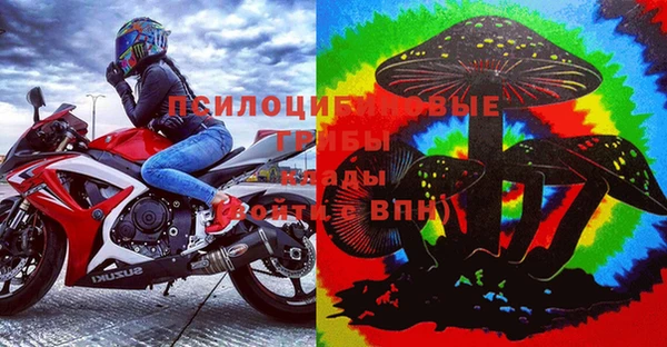 PSILOCYBIN Алзамай